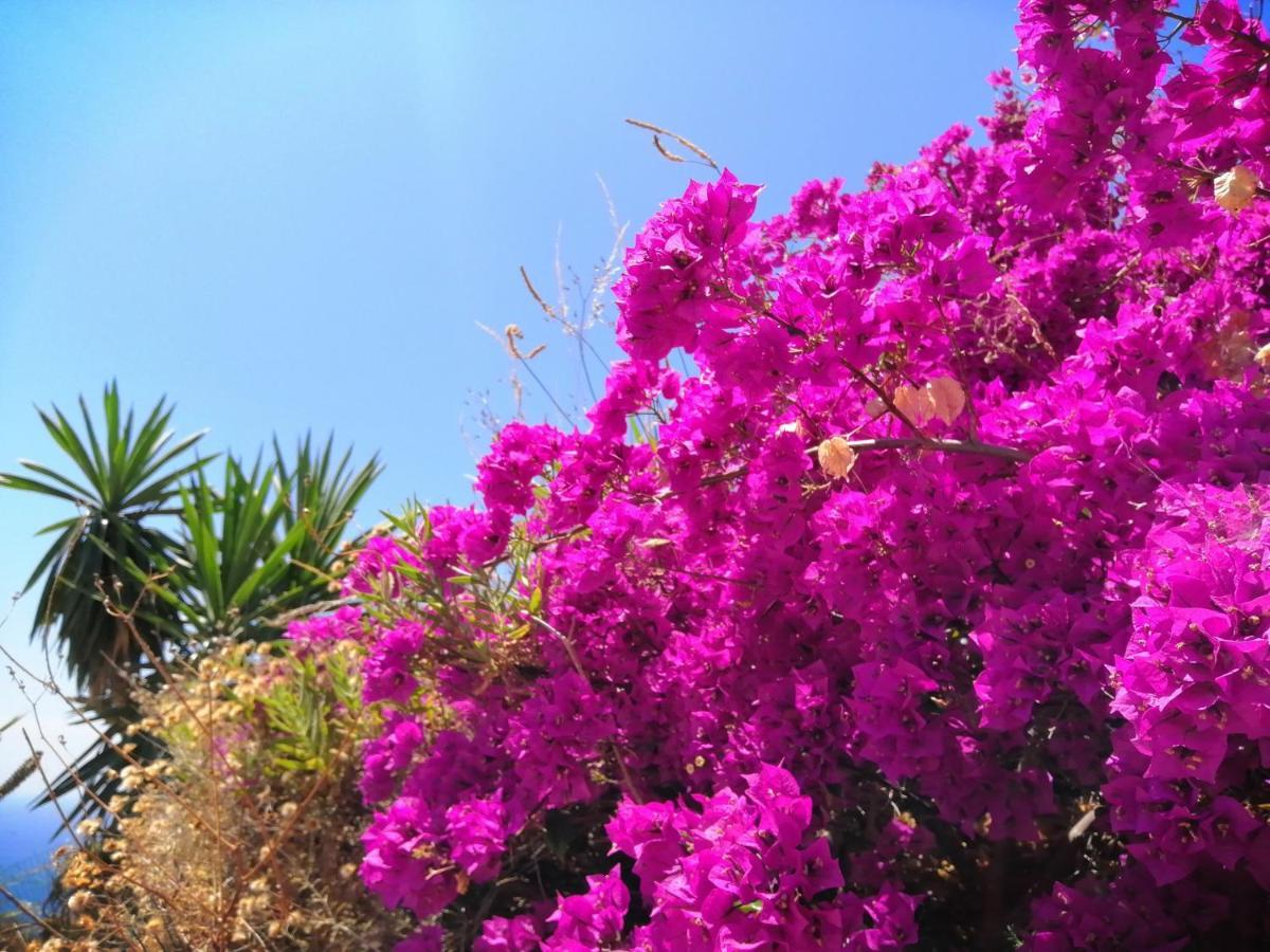 Сasa de vacaciones Mariposa Mariposaholidays Nerja